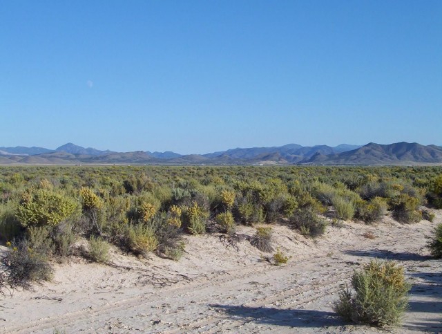 1.98 Acres Just 2.5 Hours North of Las Vegas. Come and Relax.