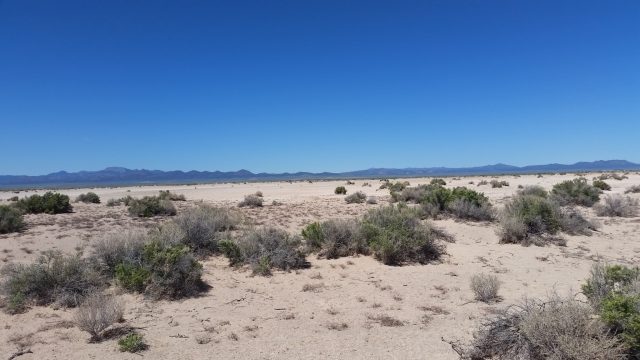 Large 5 Acre Lot for Sale in Iron County, Utah
