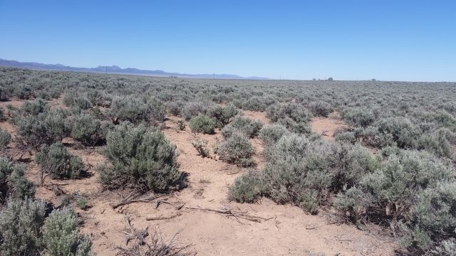 Large 4.54 Acre Property in Quiet Valley in Iron County, Utah
