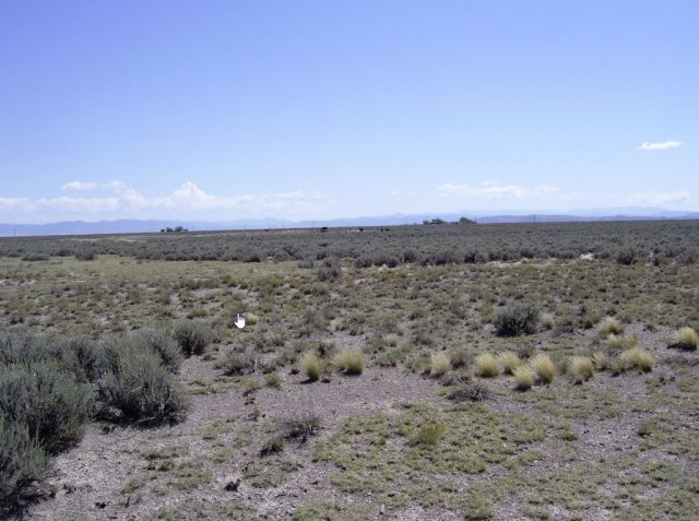 Get Out of the City! 2.05 Acres 2.5 Hours North of Las Vegas