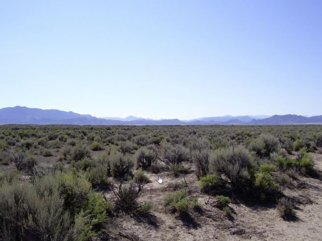 Own One Acre of Land Today for just $999