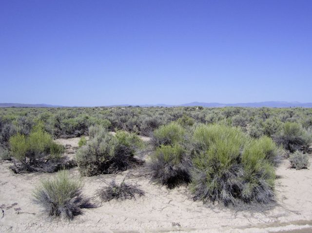 Amazing Deal! 2.27 Acres for $1,999 North of St. George, UT