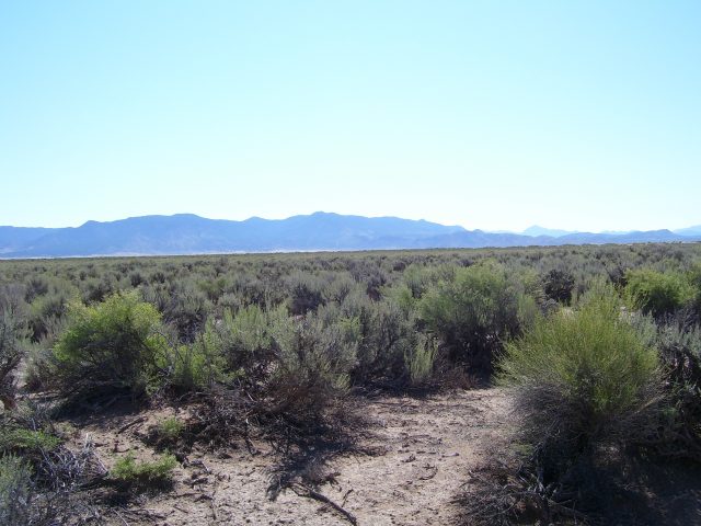 Get Out of the City. 2.24 Acres 2.5 Hours North of Las Vegas.